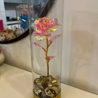 باکس شیشه ای گل رز جاودان روز مادر|گل مصنوعی|کرج, باغستان|دیوار