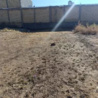 زمین-100-متری-کرونی