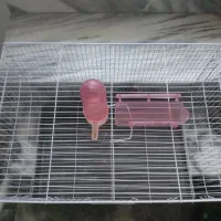 قفس پرنده