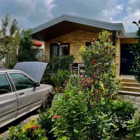 اگه دلت حیاط پر دارو درخت میخواد این برای توست