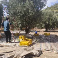 درخواست نیروی کار