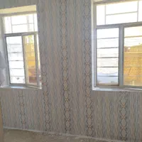 رنگ|خدمات پیشه و مهارت|ماکو, |دیوار