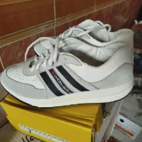 کار وپیاده روی|کیف، کفش، کمربند|دهدشت, |دیوار