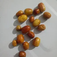 سنجد