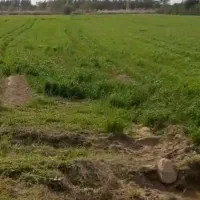 زمین کشاورزی با موقعیت تجاری،پرورشی،گلخانه ای