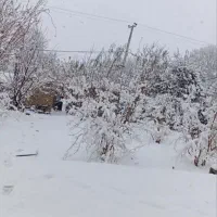 زمین فروشی شهرک گلها