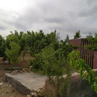 باغ کشاورزی طرح همت آباد 1260 متری|فروش دفتر صنعتی، کشاورزی، تجاری|زاینده رود, |دیوار