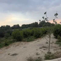 فروش-زمین-باغی-11000-متر