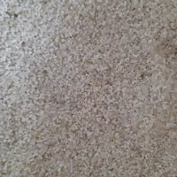 لاشه وریزه