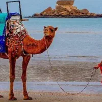 تور حرفه ای قشم|تور و چارتر|شیراز, فخرآباد (دروازه کازرون)|دیوار