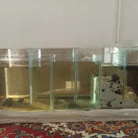 سامپ آکواریوم (تصفیه خانه)