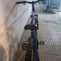 فروش دوچرخه ال مینیون ۲۶|دوچرخه، اسکیت، اسکوتر|داراب, |دیوار