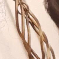 گوشواره گمشده