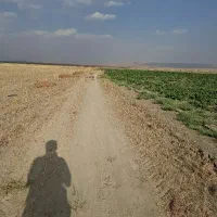 اجاره زمین کشاورزی همراه آب