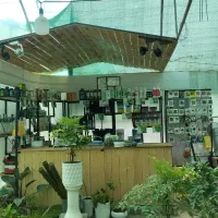 فروشگاه کشاورزی پزشک سبز