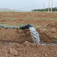 فروش زمین ۱۳۶۹ متری بر اصلی جاده سراب نیلوفر|فروش زمین و ملک کلنگی|کرمانشاه, |دیوار