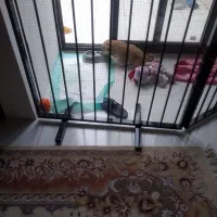 قفس ساخته شده برای سگ|لوازم جانبی حیوانات|اصفهان, باتون|دیوار