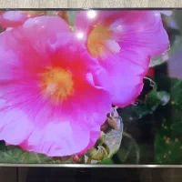 تلویزیون ۴۸ اینچ سامسونگ