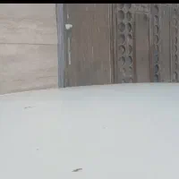 پیکان مدل ۷۹