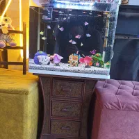 آکواریوم تکمیل همراه ۶۰ تا ماهی رنگی با میز چوبی