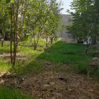 زمین-باغچه-300متری-بافت-کردان-سهیلیه