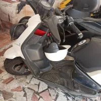 سافاری مادو