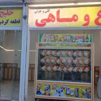 پاکترین مرغ ماهی فروشی شهر|ماهی|نورآباد, |دیوار