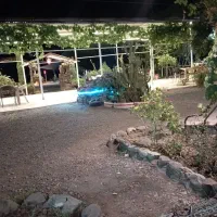 استخدام نیروی کار