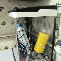 اکواریوم|ماهی|تهران, افسریه شمالی|دیوار