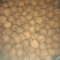 گردو تازه پوست کاغذی