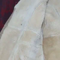 کت وپالتو|لباس|تهران, نازیآباد|دیوار