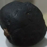 شهاب|کلکسیون اشیاء عتیقه|قزوین, |دیوار