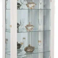 ویترین در حد نو