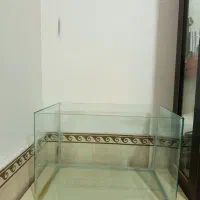 آکواریوم درحد ۵۰× ۳۵