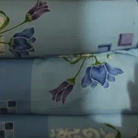 دوعدد تشک فروشی
