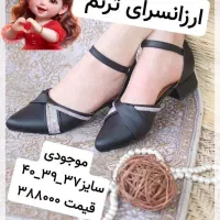 انواع کفش|کیف، کفش، کمربند|کاشان, عربها|دیوار