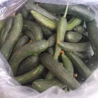 خیار علیزینل