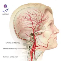 دروه اموزش طب سنتی رایگان|خدمات آموزشی|خمین, |دیوار