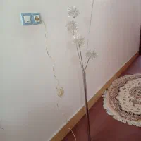 آباژور در حدنونو