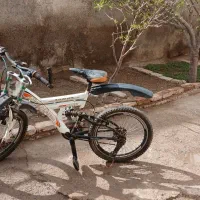 دوچرخه|دوچرخه، اسکیت، اسکوتر|مهربان, |دیوار