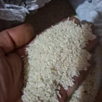 برنج هاشمی محلی|خوردنی و آشامیدنی|پاکدشت, شهرک امام رضا|دیوار