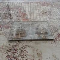 قفس جفتگاه