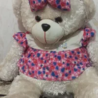 عروسک خرسی شاسخین