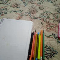 فرش گل برجسته درحدنو