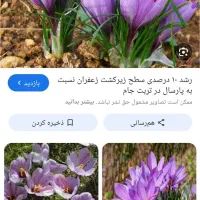 راهنمایی زعفران