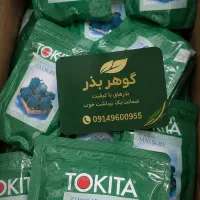 بذر کلم بروکلی ماتسوری