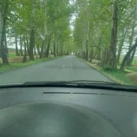 گاوداری صنعتی شیری