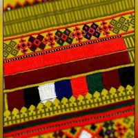 شیرازه پذیرفته میشود