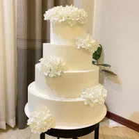 ماکت کیک