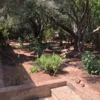 فروش فوری یک دستگاه ویلا باغ|فروش خانه و ویلا|منجیل, |دیوار